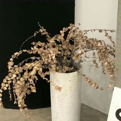 Furry黑白线稿绘画教程福瑞交流群